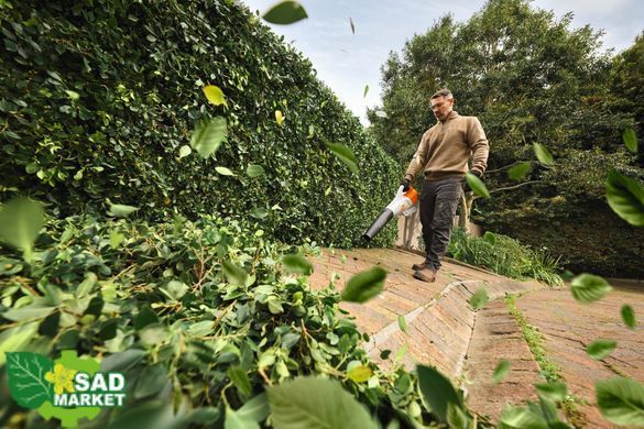 Повітродувка акумуляторна STIHL BGA 110