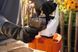 Опрыскиватель аккумуляторный STIHL SGA 30 фото 4 &mdash; SADMARKET.com.ua