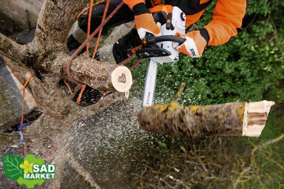 Бензопила STIHL MS 201 TC-M (11452000268)