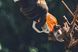 Секатор аккумуляторный STIHL ASA 130  фото 7 &mdash; SADMARKET.com.ua
